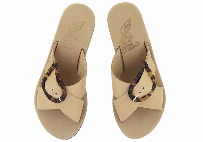 Sandali Zeppa Ancient Greek Sandals Thais Rainbow Donna Beige Nere | ZLK1612GX