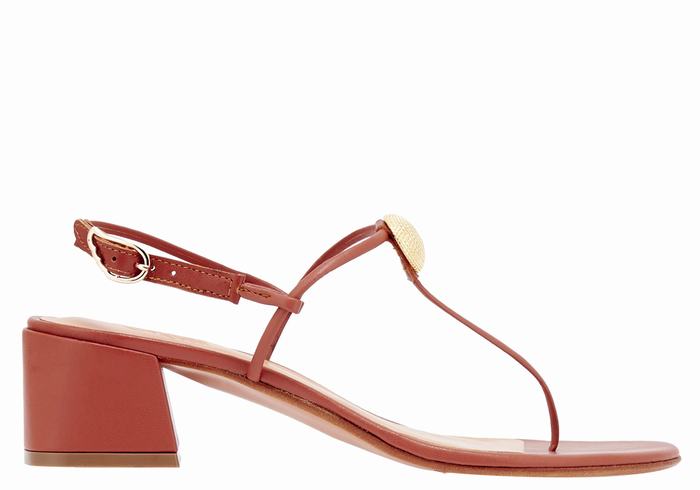 Sandali con Tacco Ancient Greek Sandals Mistida Donna Rosse | JZU294XA